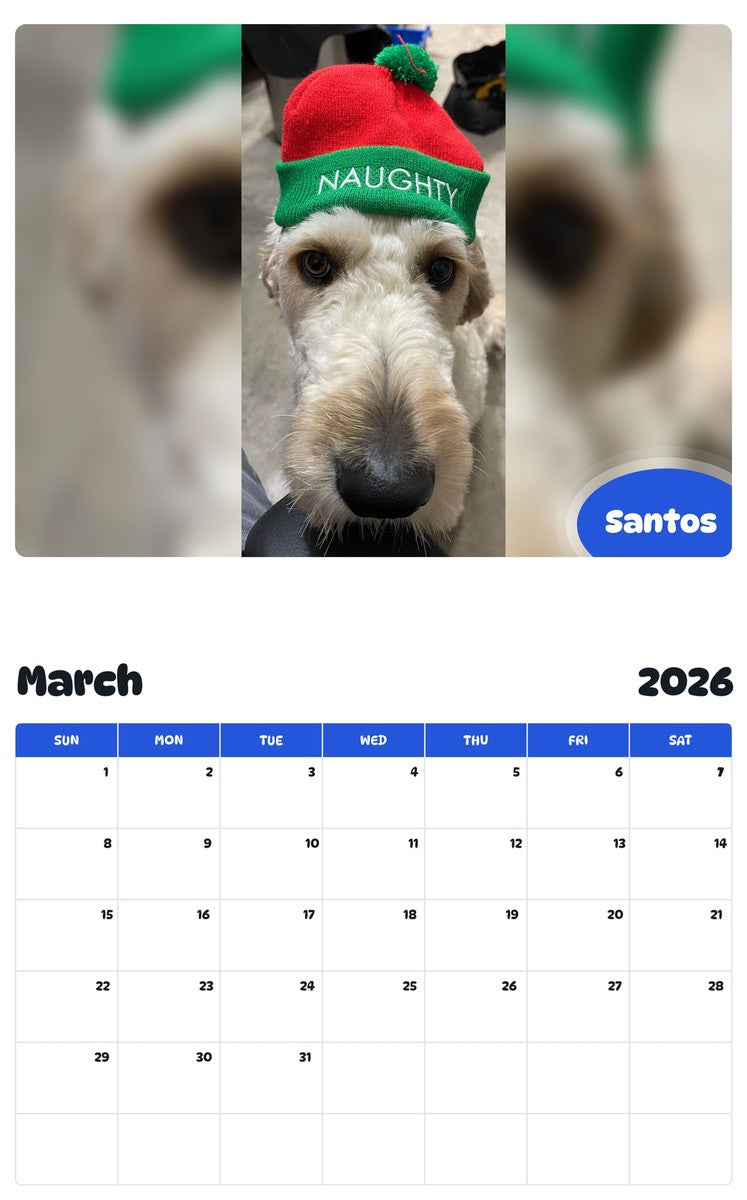 November 2025 - October 2026 Santos - Pawidols Pet Calendar