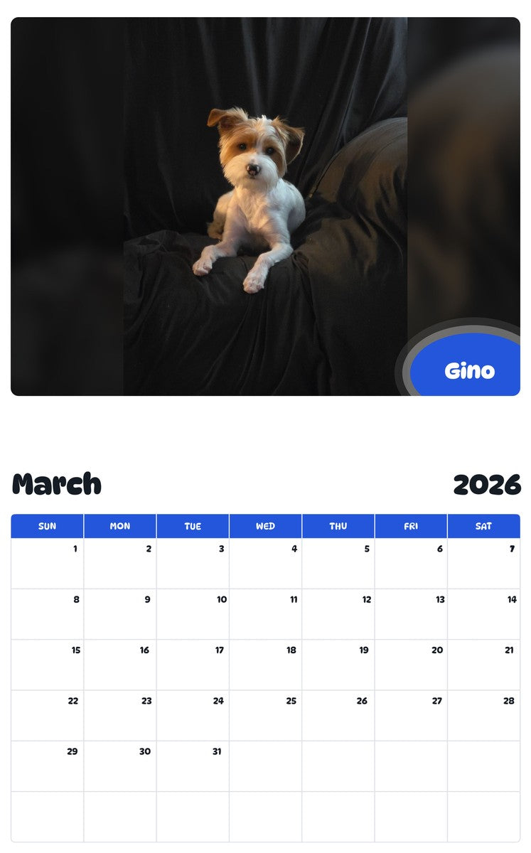 November 2025 - October 2026 Gino - Pawidols Pet Calendar