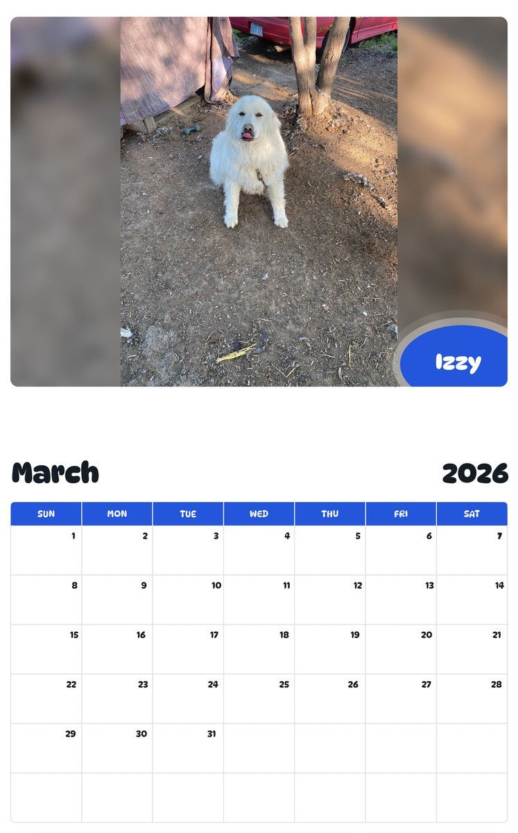 November 2025 - October 2026 Izzy - Pawidols Pet Calendar