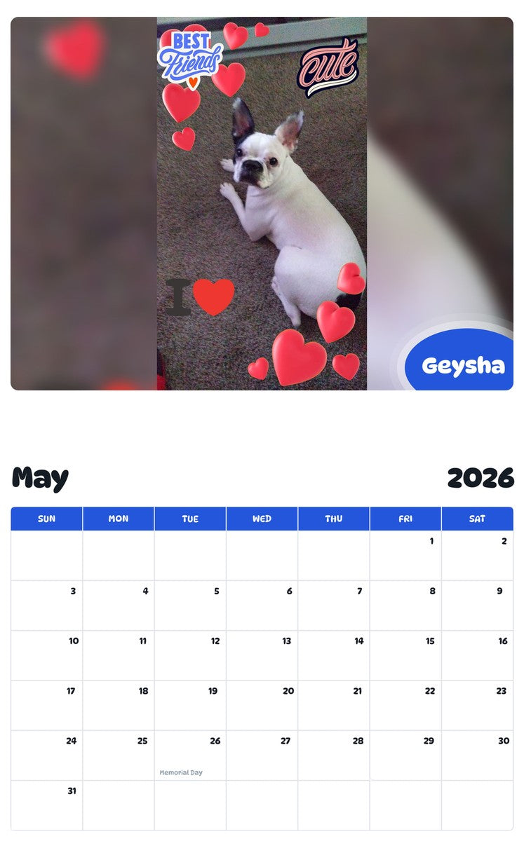 2026 - 2027 Geysha - Pawidols Pet Calendar