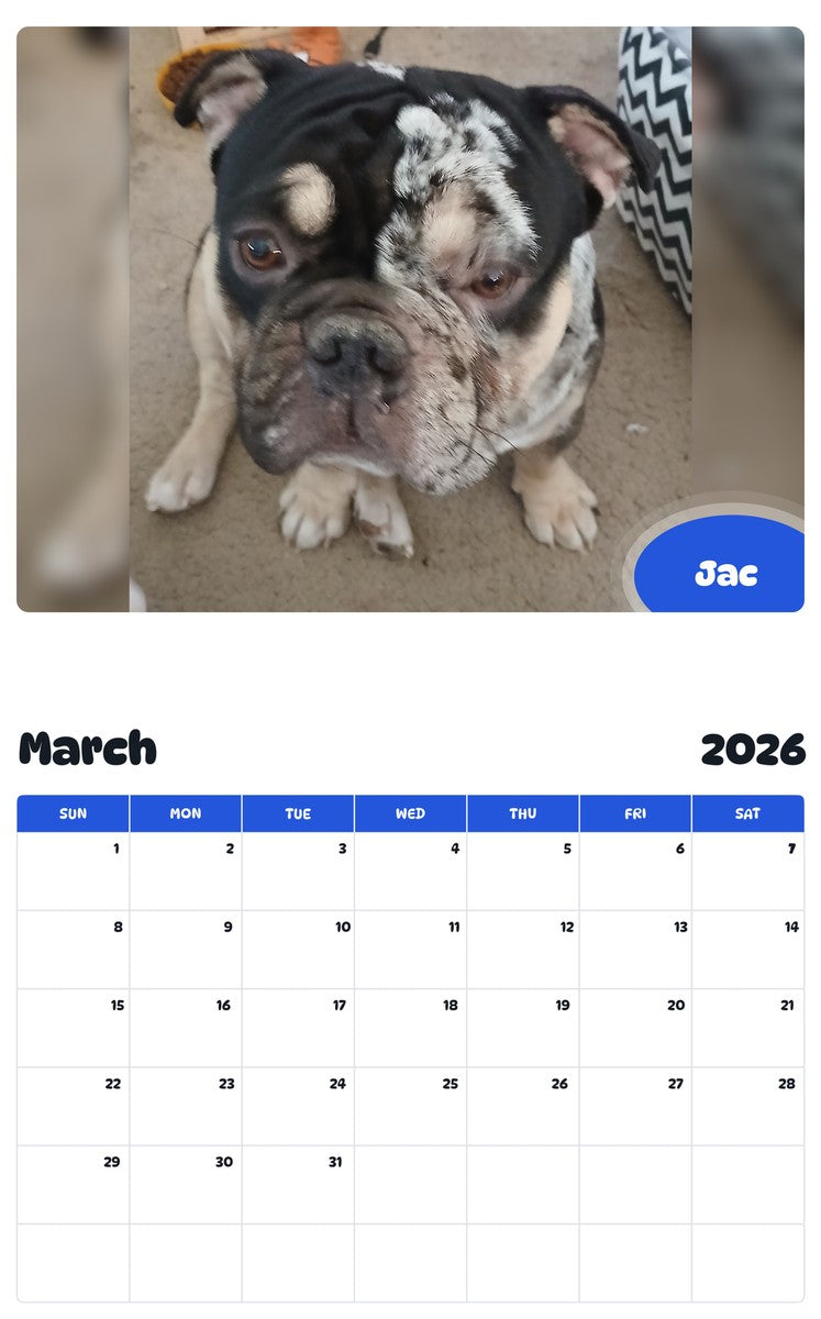 November 2025 - October 2026 Jac - Pawidols Pet Calendar