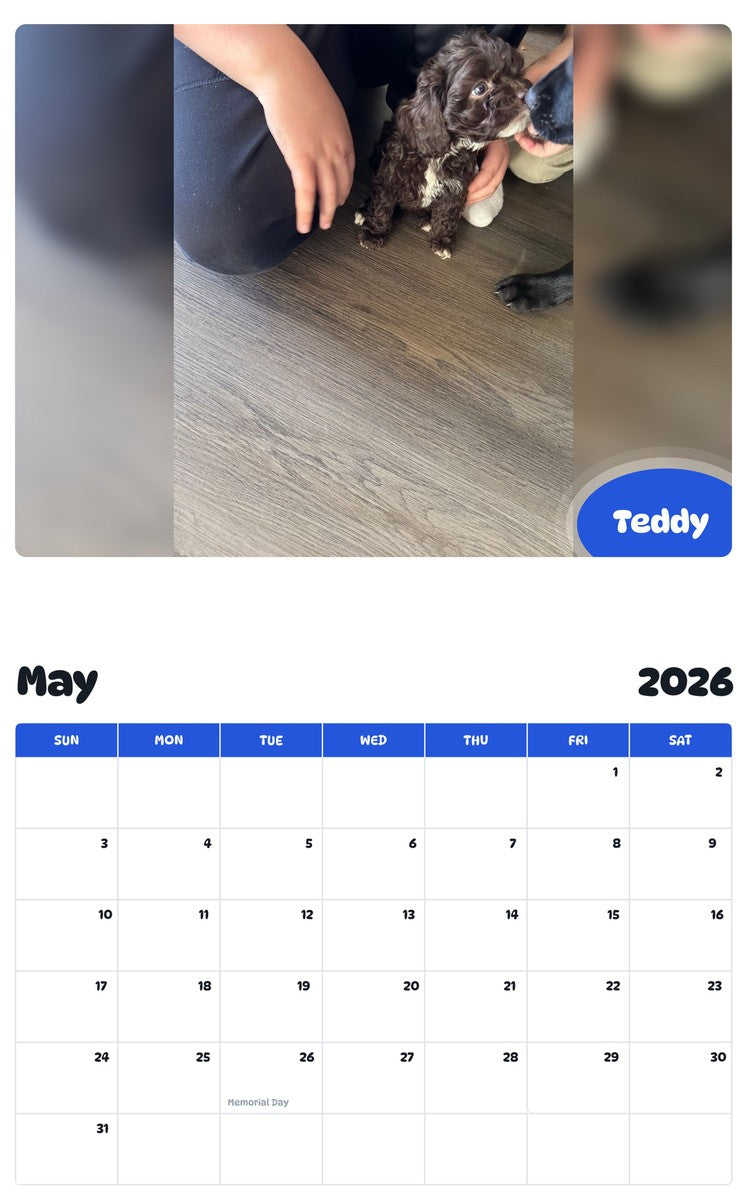 2026 - 2027 Teddy - Pawidols Pet Calendar