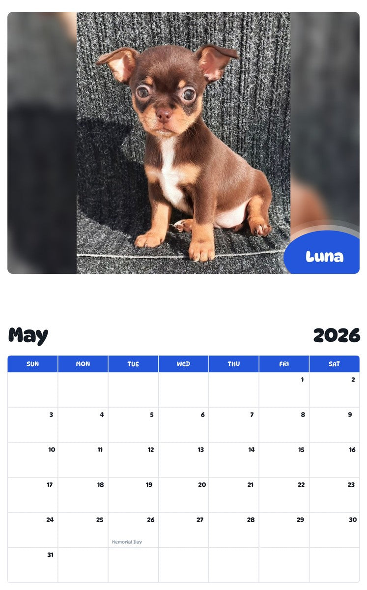 2026 - 2027 Luna - Pawidols Pet Calendar