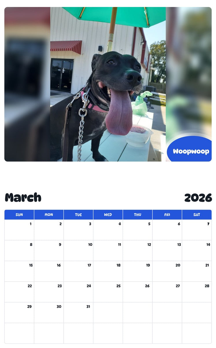 November 2025 - October 2026 Woopwoop - Pawidols Pet Calendar