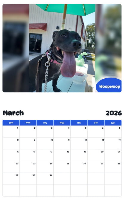November 2025 - October 2026 Woopwoop - Pawidols Pet Calendar