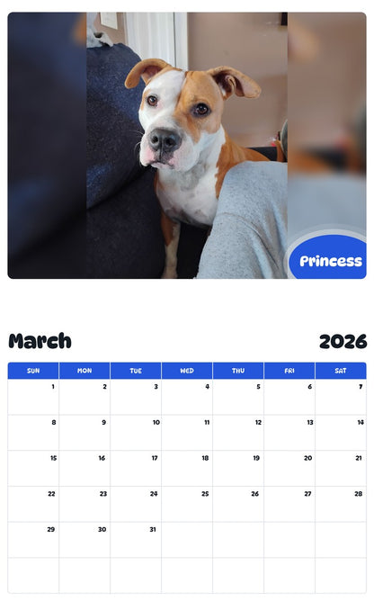 November 2025 - October 2026 Princess - Pawidols Pet Calendar