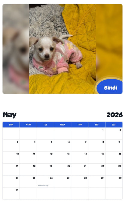 2026 - 2027 Bindi - Pawidols Pet Calendar