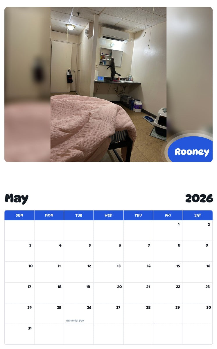 2026 - 2027 Rooney - Pawidols Pet Calendar