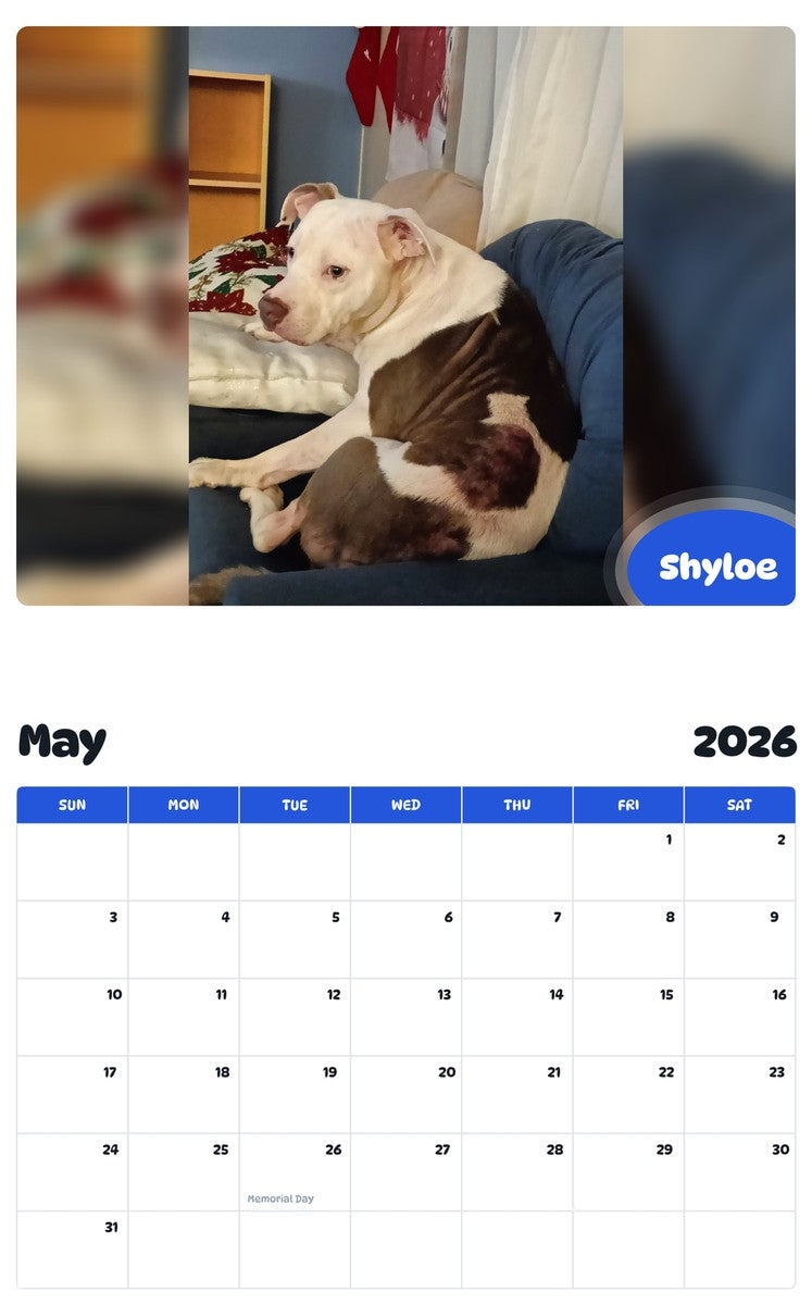 2026 - 2027 Shyloe - Pawidols Pet Calendar