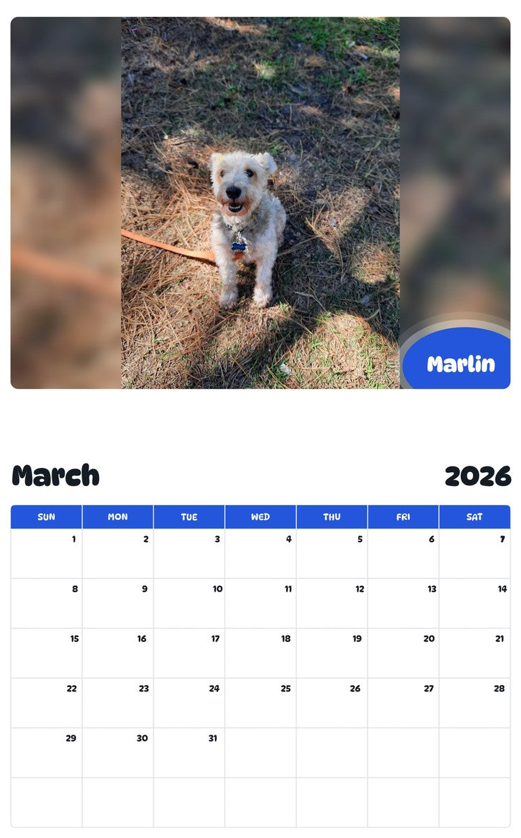 November 2025 - October 2026 Marlin - Pawidols Pet Calendar