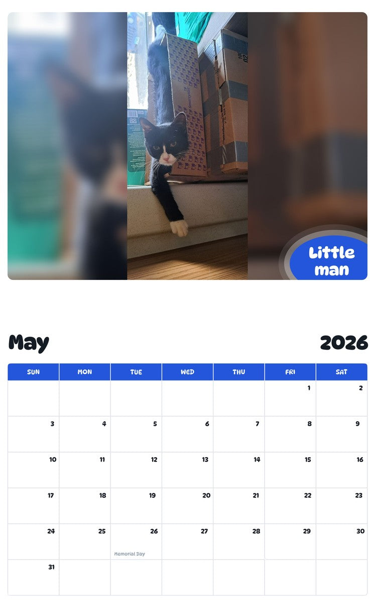 2026 - 2027 Little man - Pawidols Pet Calendar