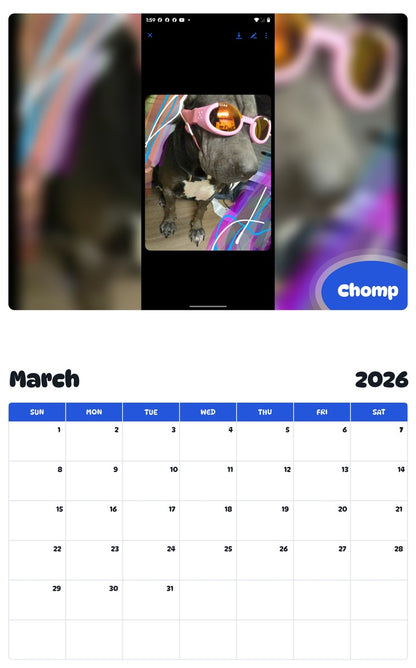 November 2025 - October 2026 Chomp - Pawidols Pet Calendar