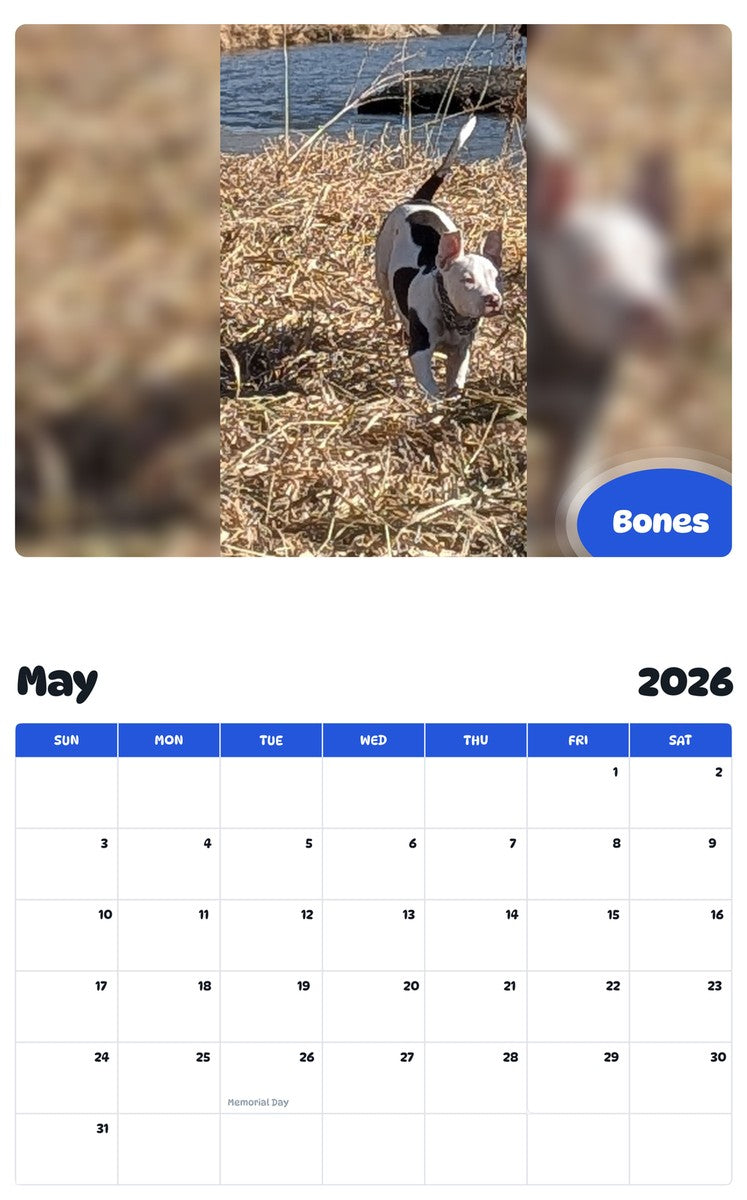 2026 - 2027 Bones - Pawidols Pet Calendar