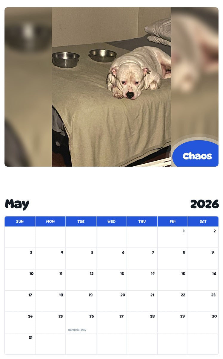 2026 - 2027 Chaos - Pawidols Pet Calendar