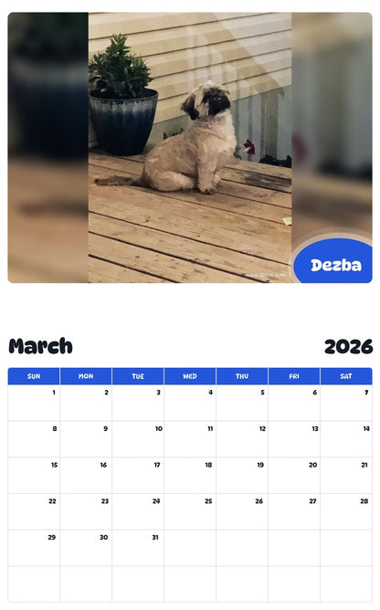 November 2025 - October 2026 Dezba - Pawidols Pet Calendar