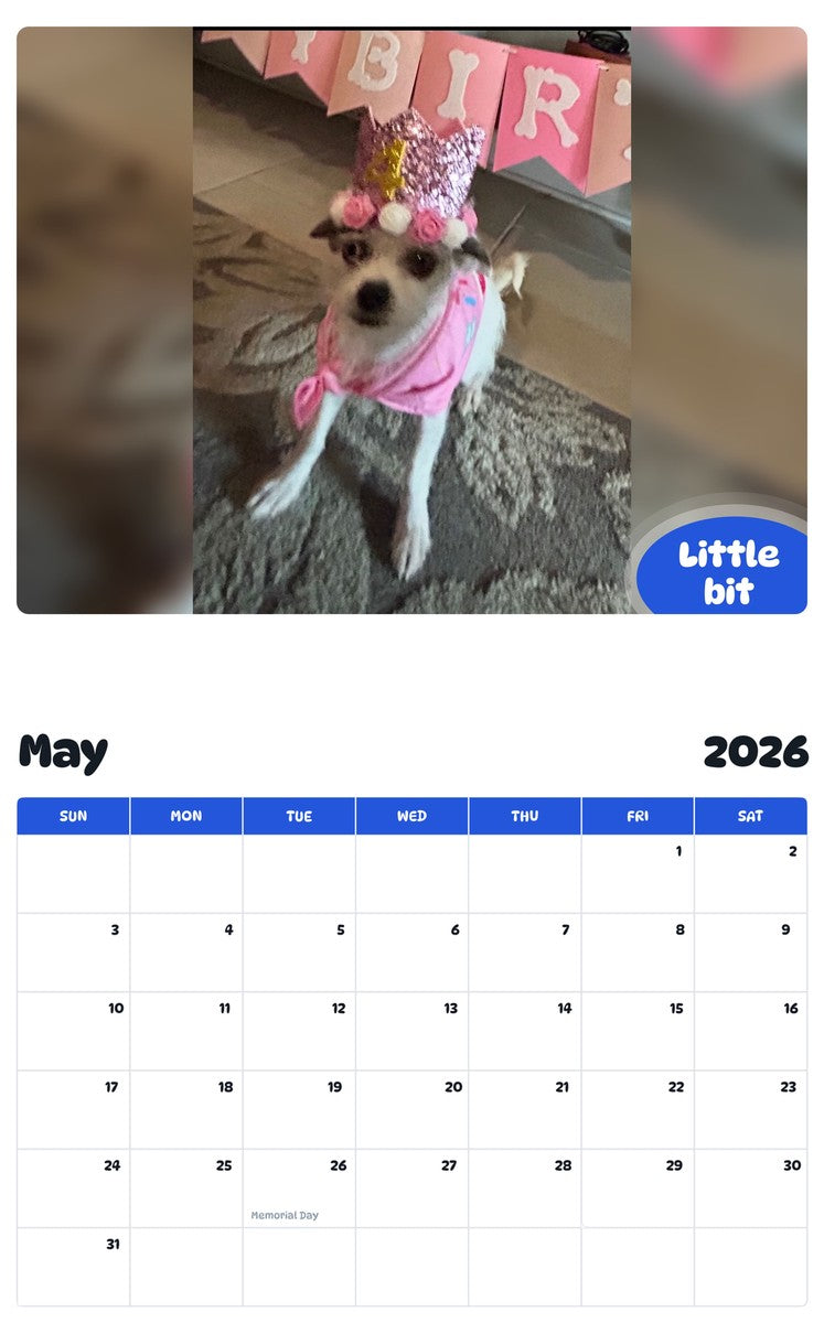 2026 - 2027 Little bit - Pawidols Pet Calendar