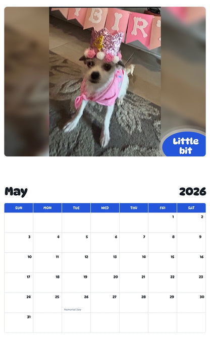 2026 - 2027 Little bit - Pawidols Pet Calendar