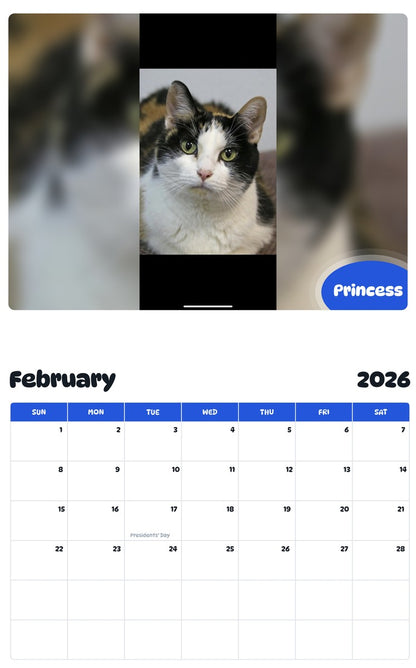 November 2025 - October 2026 Princess - Pawidols Pet Calendar