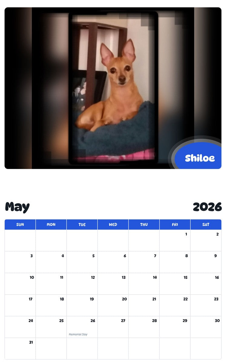2026 - 2027 Shiloe - Pawidols Pet Calendar