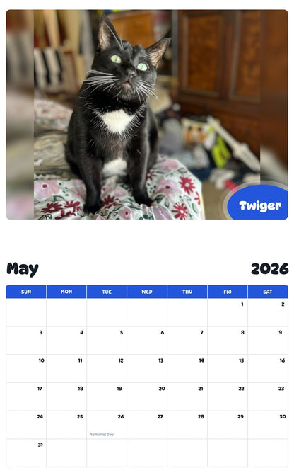 2026 - 2027 Twiger - Pawidols Pet Calendar
