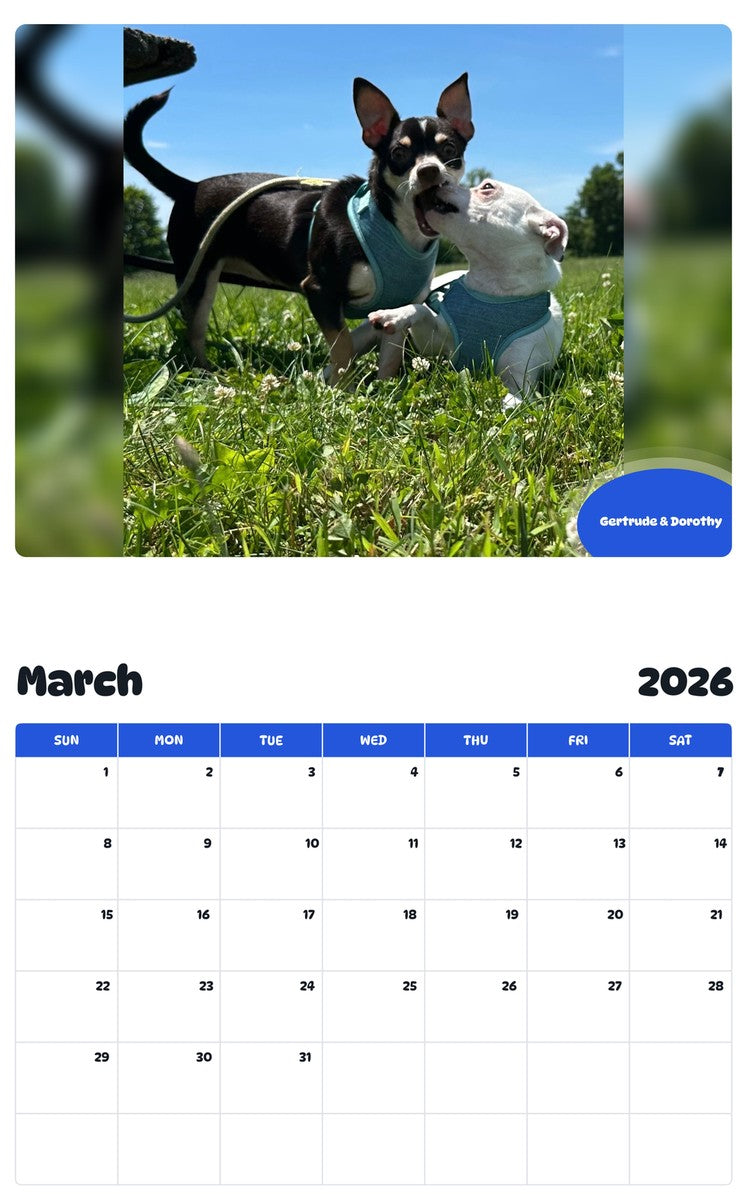 November 2025 - October 2026 Gertrude & Dorothy - Pawidols Pet Calendar