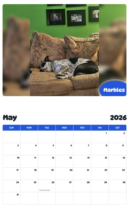 2026 - 2027 Marbles - Pawidols Pet Calendar
