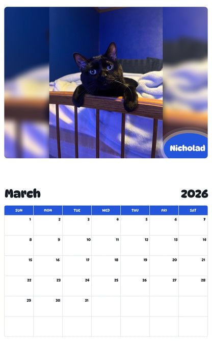 November 2025 - October 2026 Nicholad - Pawidols Pet Calendar