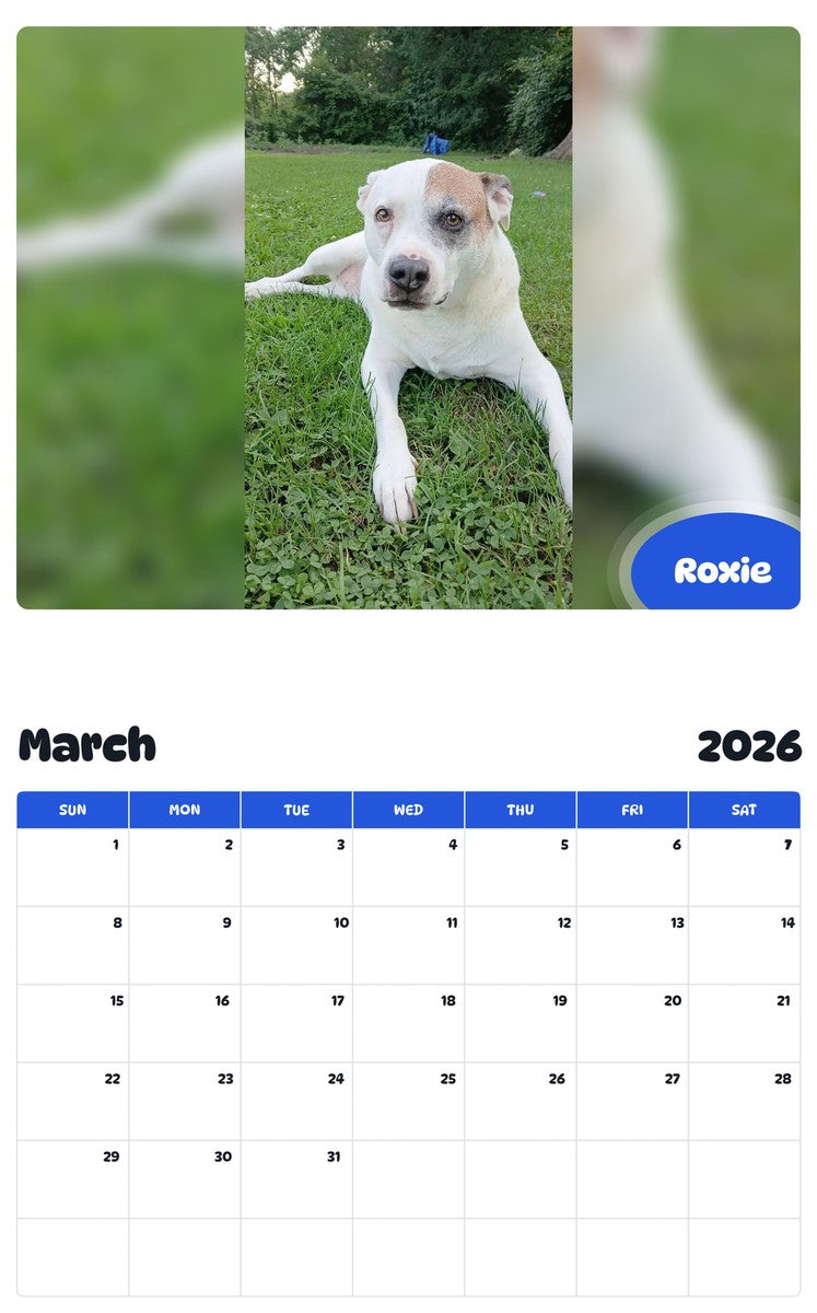 November 2025 - October 2026 Roxie - Pawidols Pet Calendar