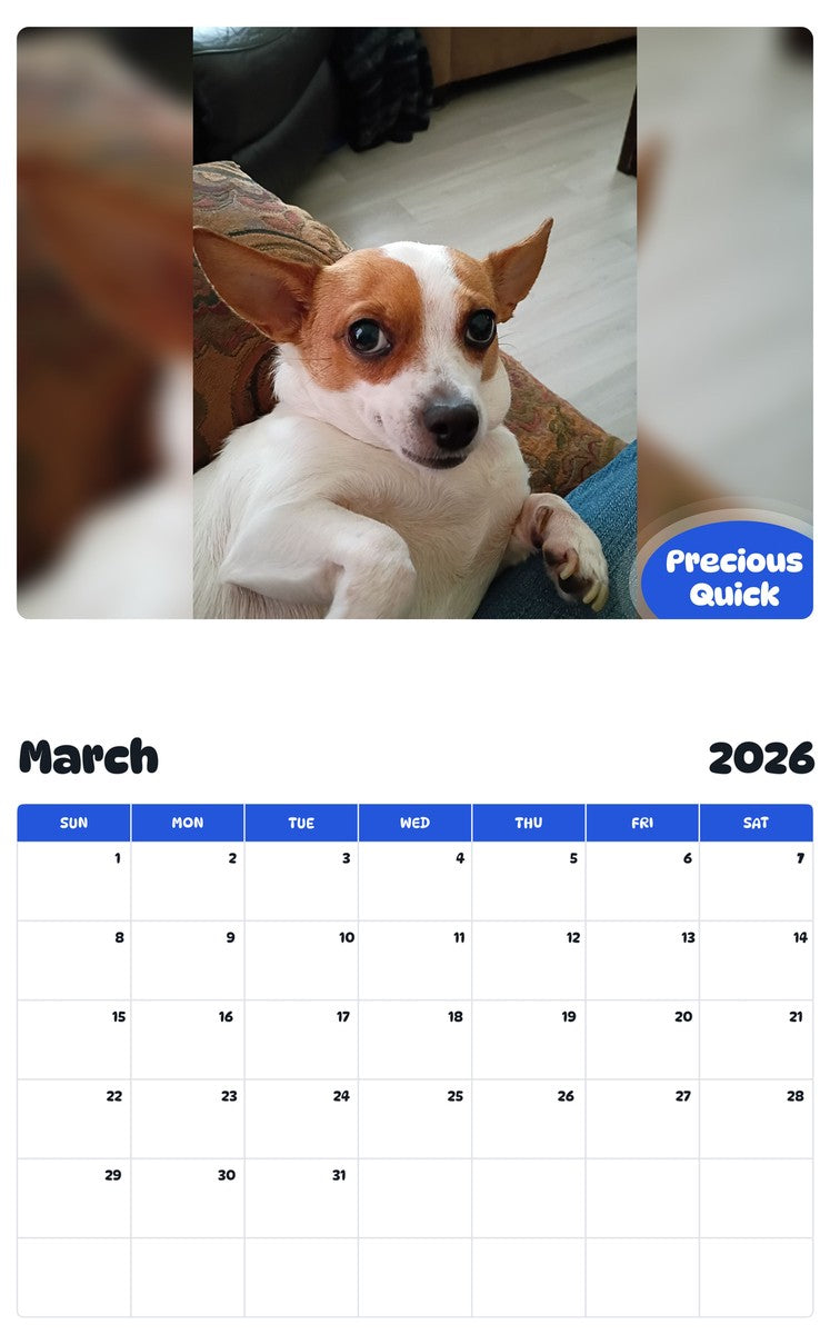 November 2025 - October 2026 Precious Quick - Pawidols Pet Calendar