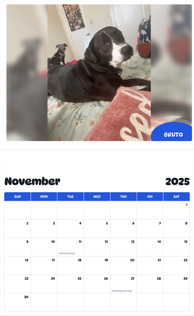 July 2025 - June 2026 Bruto - Pawidols Pet Calendar