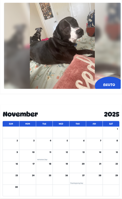 July 2025 - June 2026 Bruto - Pawidols Pet Calendar