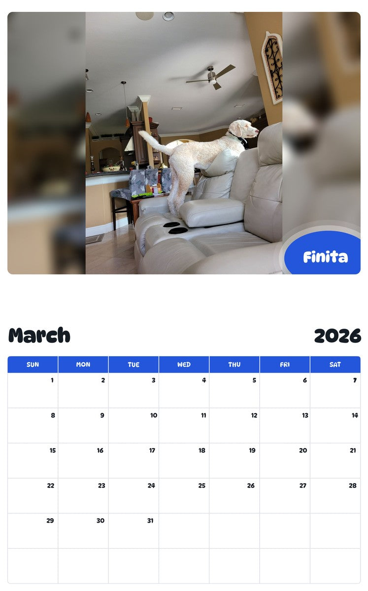 November 2025 - October 2026 Finita - Pawidols Pet Calendar