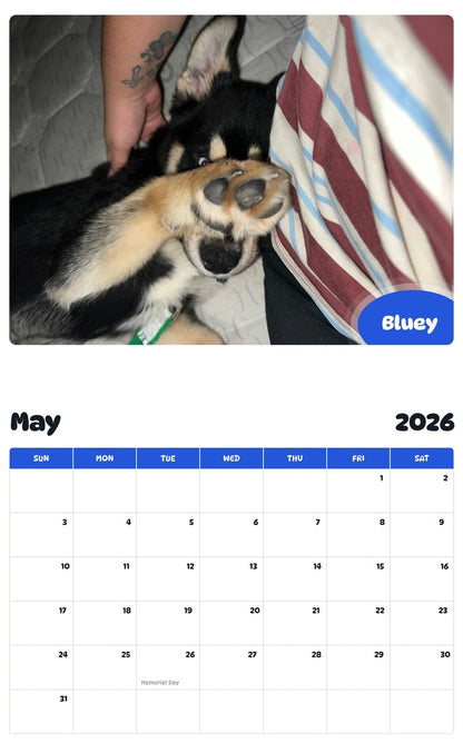 2026 - 2027 Bluey - Pawidols Pet Calendar