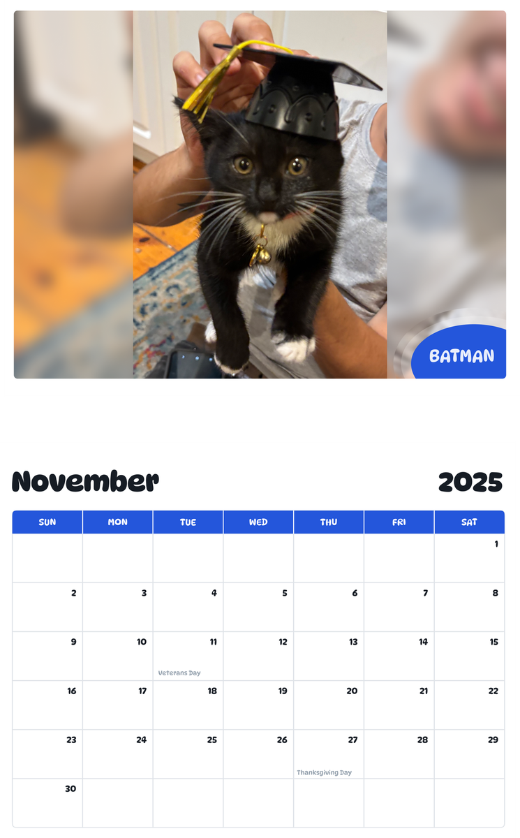July 2025 - June 2026 Batman - Pawidols Pet Calendar