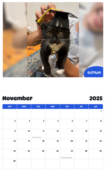 July 2025 - June 2026 Batman - Pawidols Pet Calendar