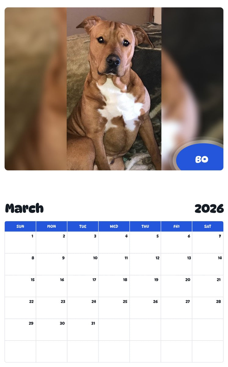 November 2025 - October 2026 BO - Pawidols Pet Calendar