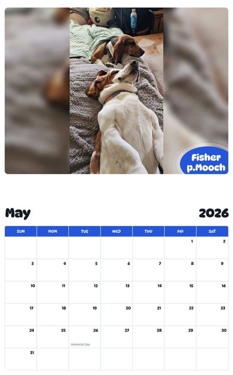2026 - 2027 Fisher p.Mooch - Pawidols Pet Calendar