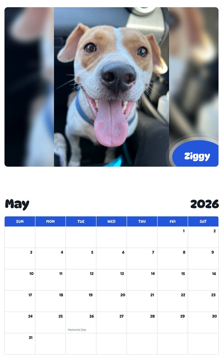 2026 - 2027 Ziggy - Pawidols Pet Calendar