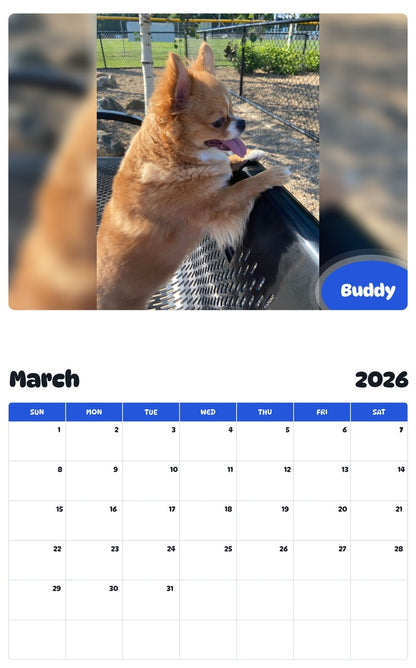 November 2025 - October 2026 Buddy - Pawidols Pet Calendar