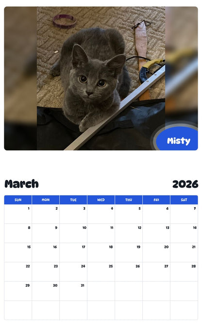 November 2025 - October 2026 Misty - Pawidols Pet Calendar