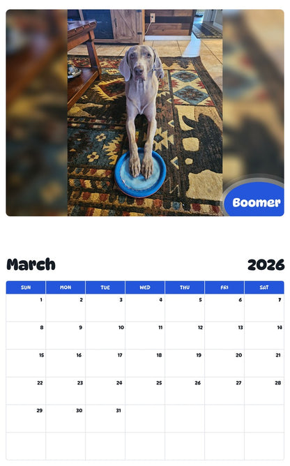 November 2025 - October 2026 Boomer - Pawidols Pet Calendar