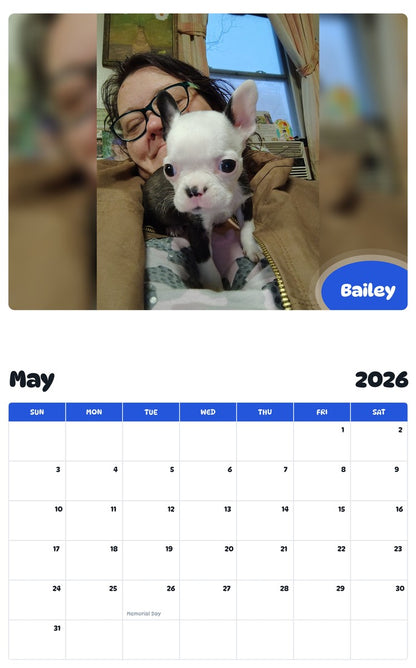 2026 - 2027 Bailey - Pawidols Pet Calendar