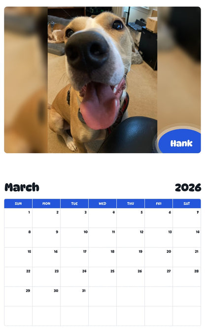 November 2025 - October 2026 Hank - Pawidols Pet Calendar