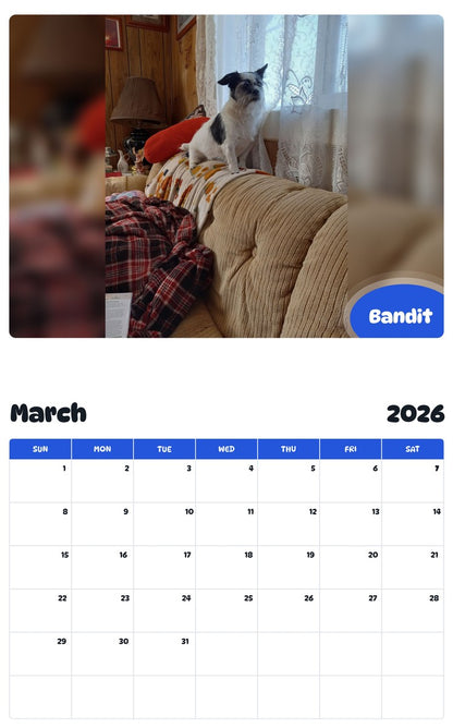 November 2025 - October 2026 Bandit - Pawidols Pet Calendar