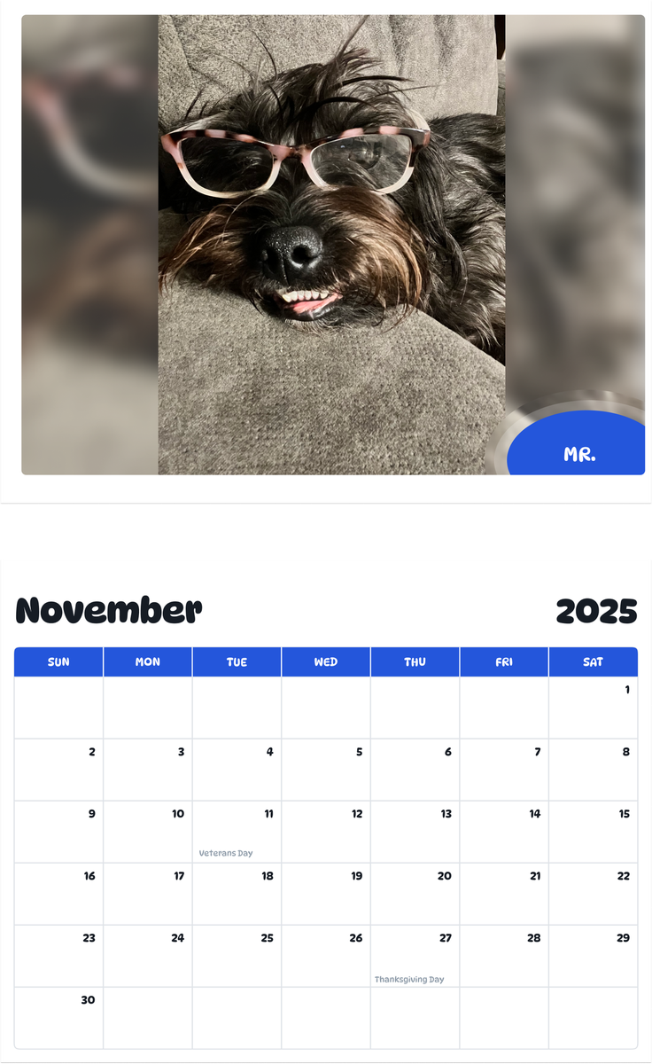 July 2025 - June 2026 Mr. - Pawidols Pet Calendar