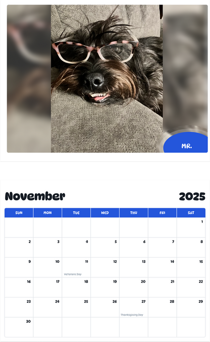 July 2025 - June 2026 Mr. - Pawidols Pet Calendar
