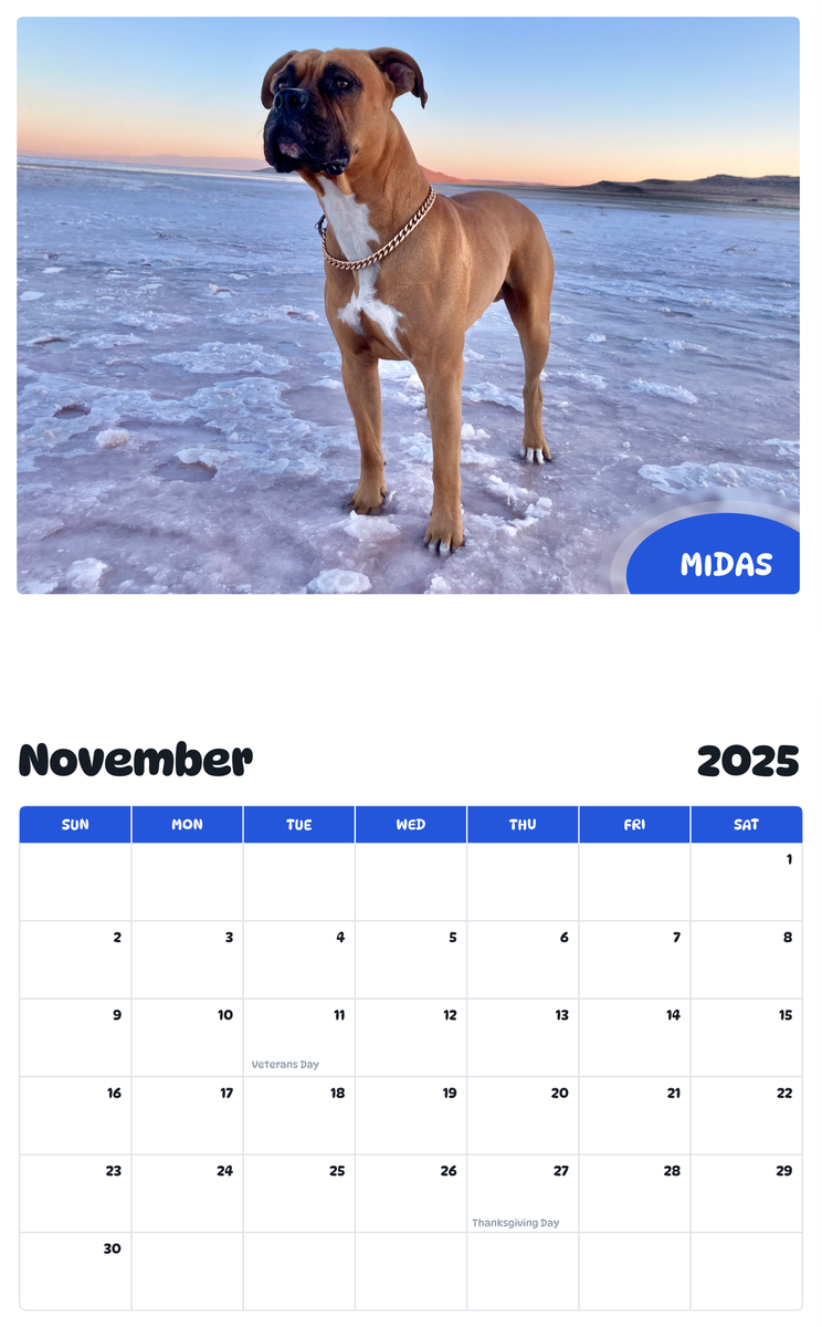 July 2025 - June 2026 Midas - Pawidols Pet Calendar
