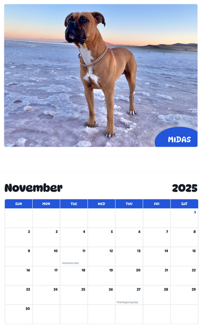 July 2025 - June 2026 Midas - Pawidols Pet Calendar