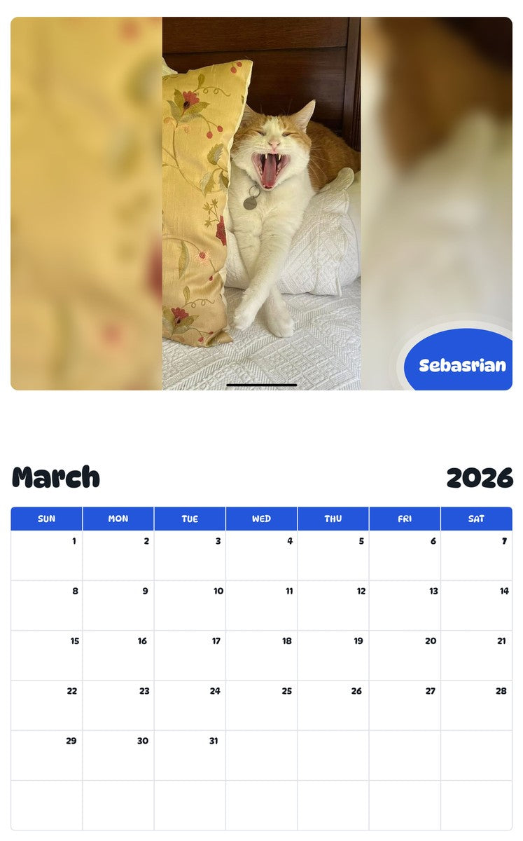 November 2025 - October 2026 Sebasrian - Pawidols Pet Calendar