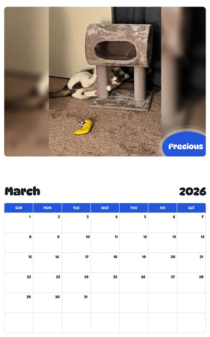November 2025 - October 2026 Precious - Pawidols Pet Calendar